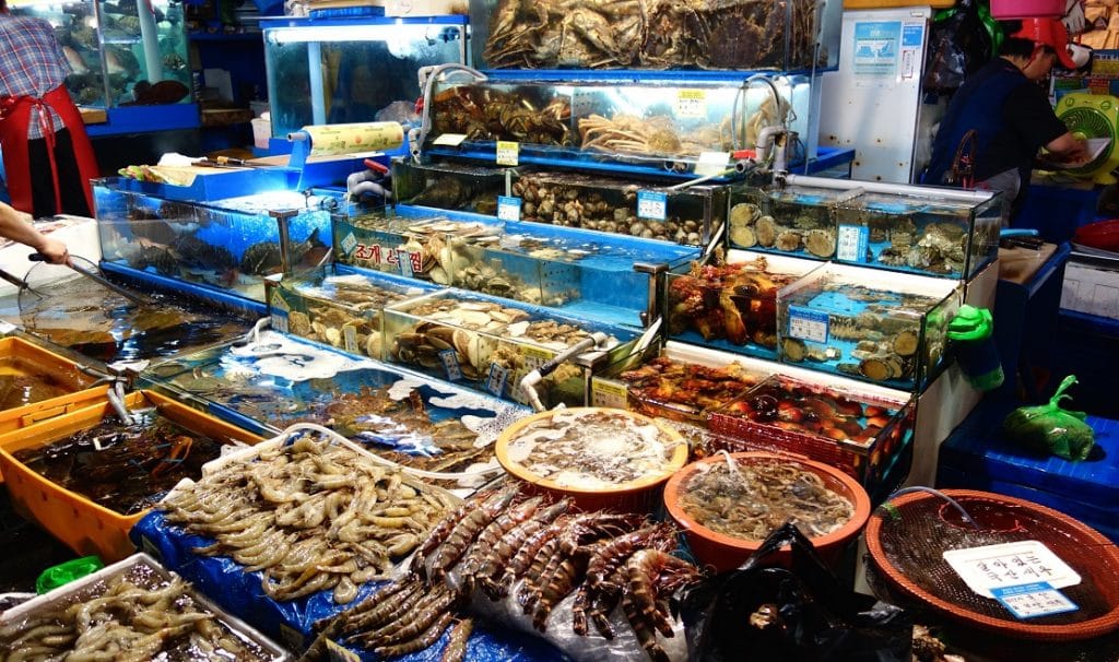 Hải sản Đồ Sơn Hải Phòng