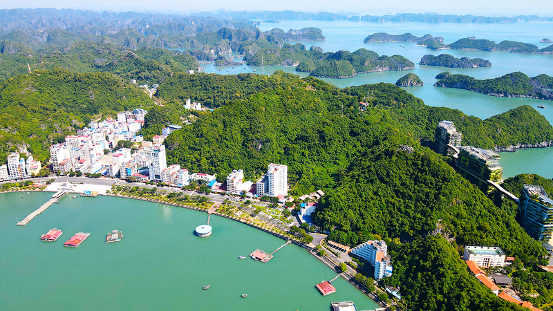Tại sao nên đi du lịch Hải Phòng vào tháng 6?
