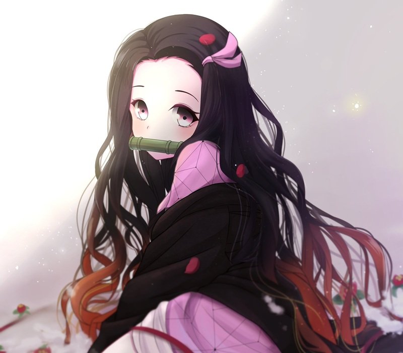 anime watch 13